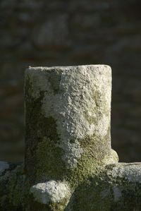 Click to enlarge image croix_fontaine_cimetiere_lampaul_ploudal_11.pg